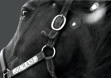 Ourasi, le Roi Fainéant