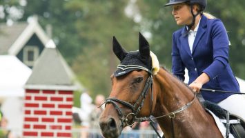 PMU Malins site hippique incontournable