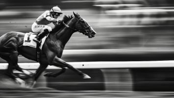 meilleurs sites de turf en 2024