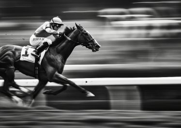meilleurs sites de turf en 2024