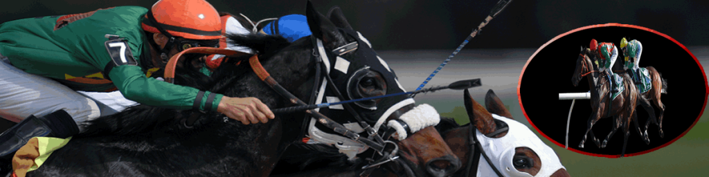 Couple Kado Turf : les pronostics des experts