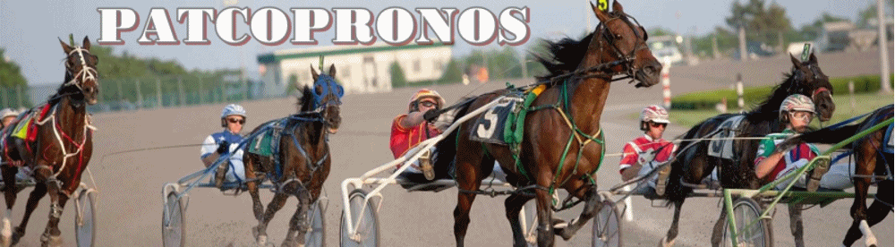 Patco Pronos