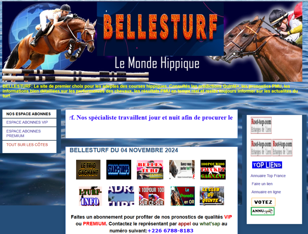 copie d'écran du site : https://www.bellesturf.net/
