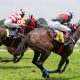 Course entre deux cavaliers sur des chevaux