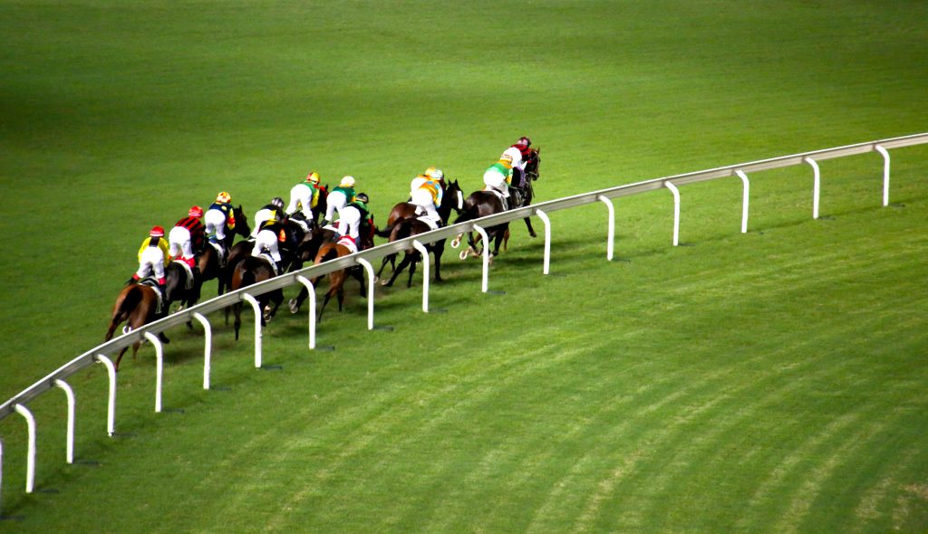 Course Hippique PMU