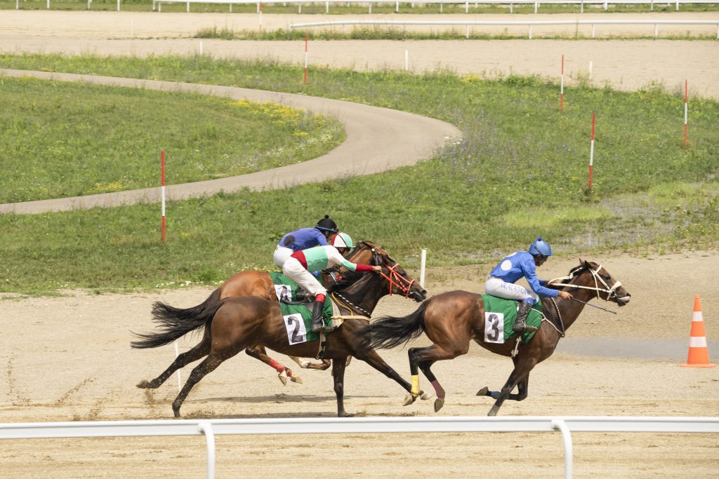 Les chevaux du tiercé
