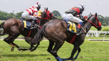 Course à cheval