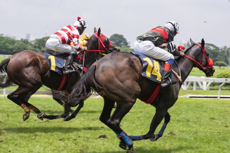 Course à cheval