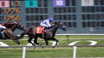 Course hippique