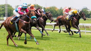 course de chevaux sur pelouse
