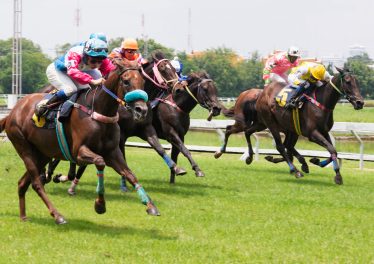 course de chevaux sur pelouse