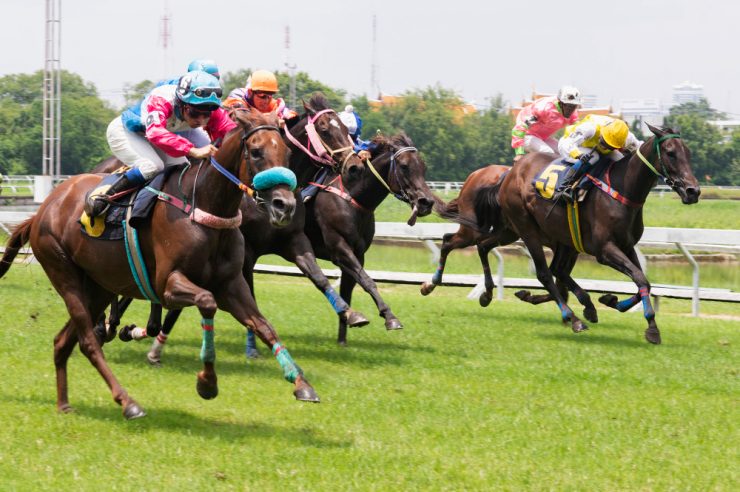 course de chevaux sur pelouse