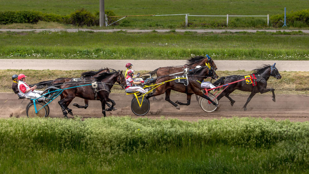 trot archives Quinté 2022
