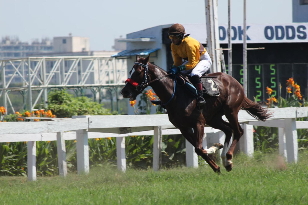 jockey archives quinté 2021