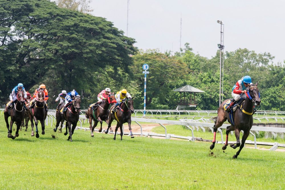 courses galop Archives quinté 2015