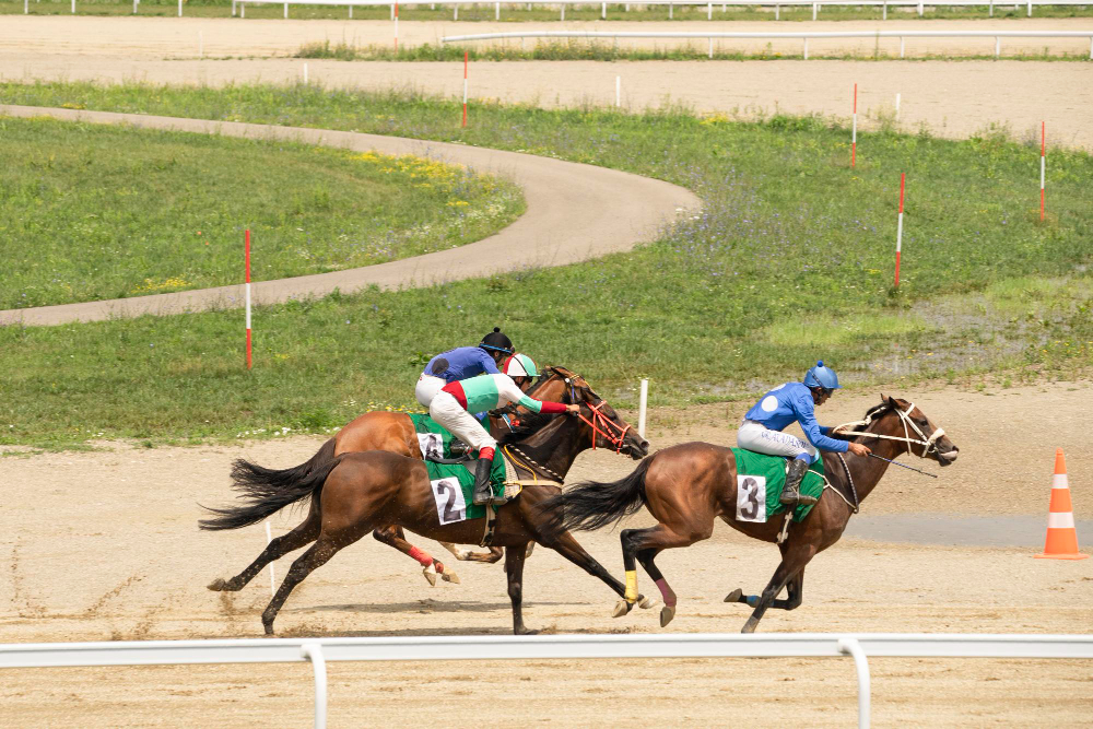 galop archives quinté 2012