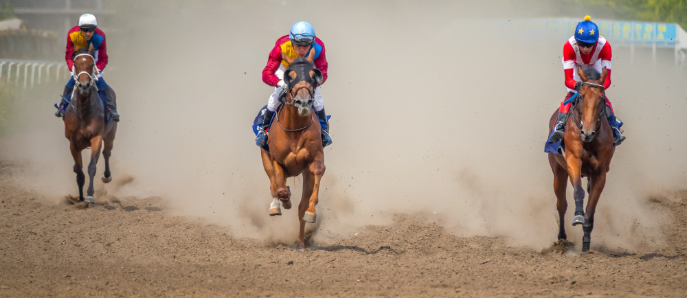 galop archives Quinté 2011