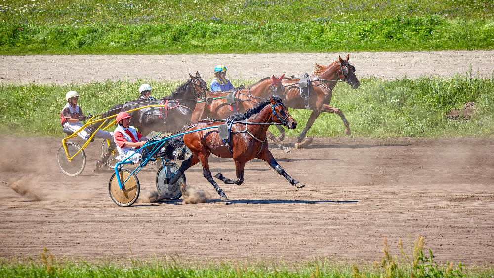 Trot attelé archives quinté 2016