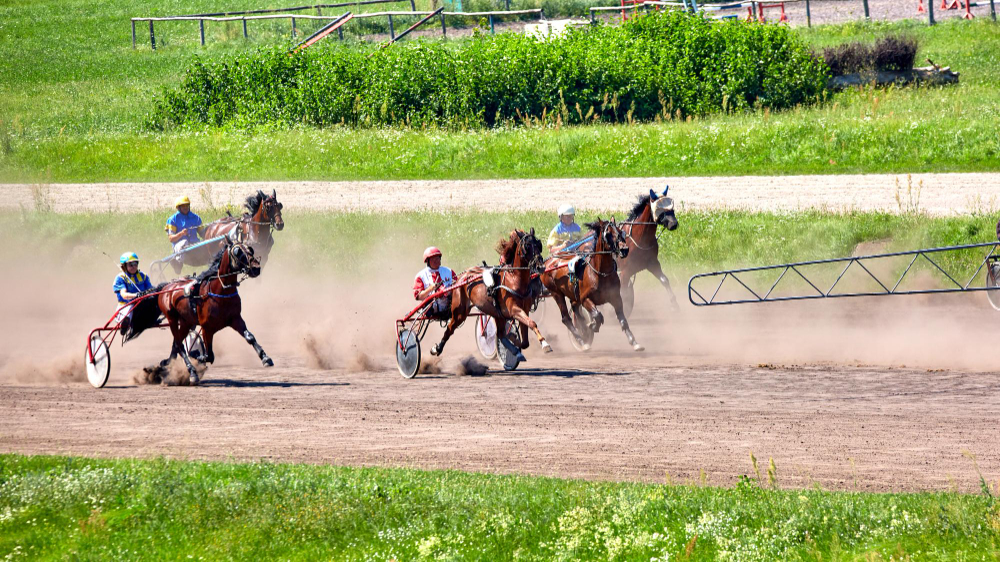 Analyse des archives Quinté 2019 trot attelé
