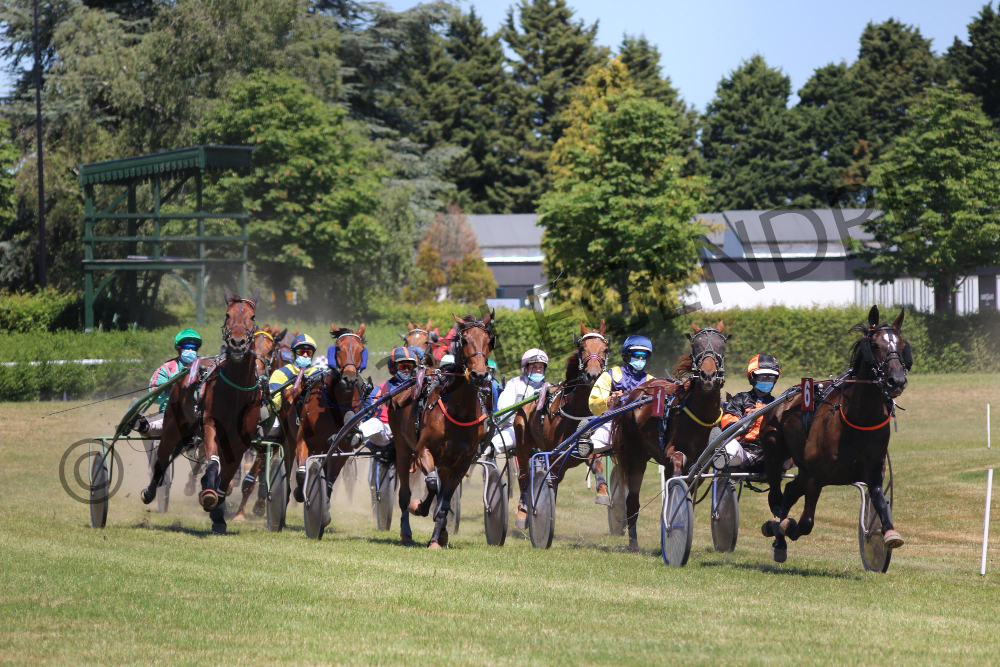 trot attelé archives quinté 2012