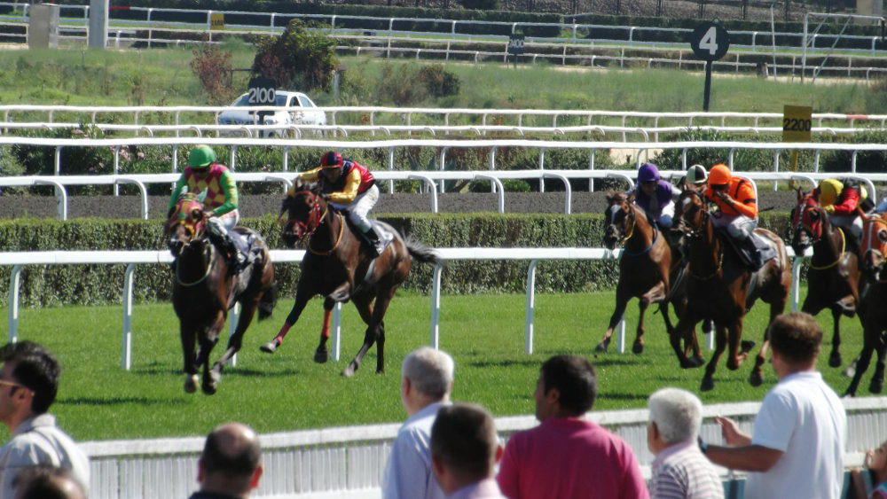 galop archives quinté 2013