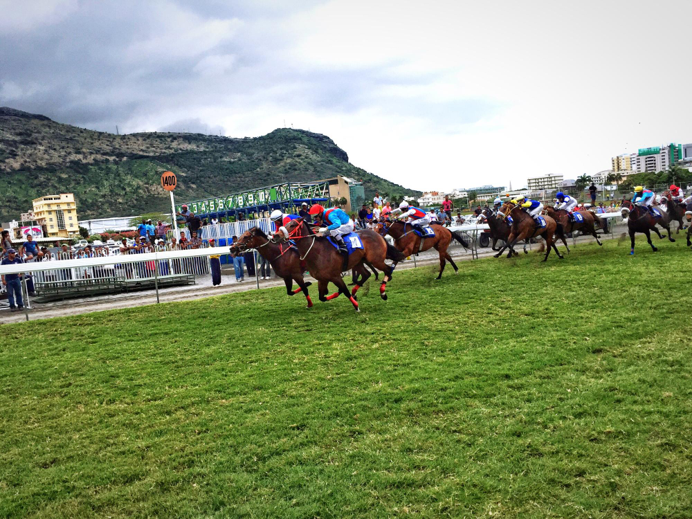 jockeys pros archives quinté 2012