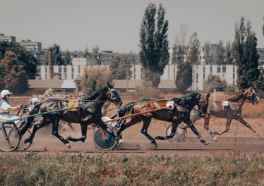courses archives quinté 2012