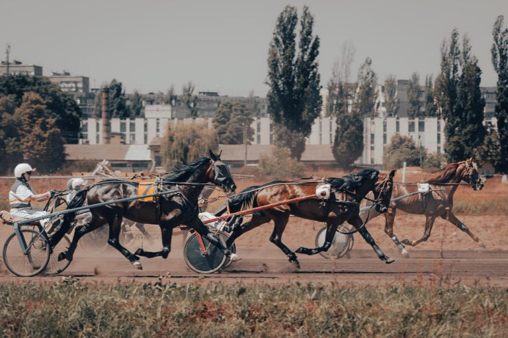 courses archives quinté 2012