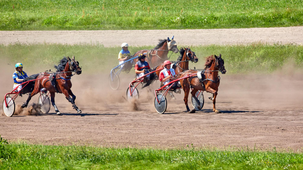 Trotteurs course archives quinté 2017