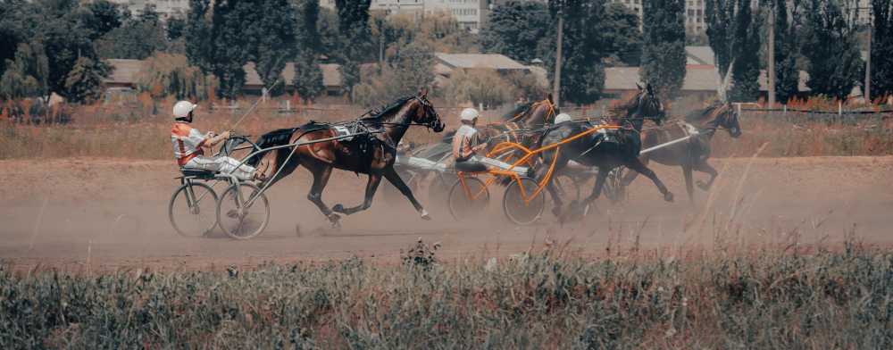 courses  trot archives quinté 2010